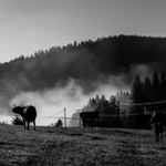 Hinterzarten